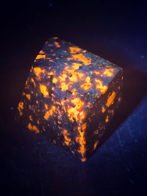 FREE ITEM WITH ALL ORDERS