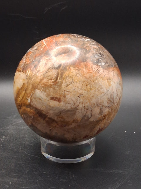 Large petrified wood sphere! 81mm, 3.1 inches, 1.8 pounds