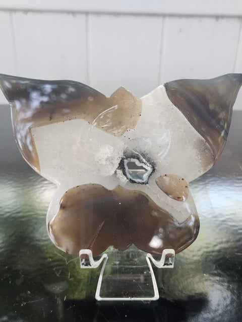 Druzy agate butterfly! 4.9 inches wide, 3.36 inches tall, 8 ounces