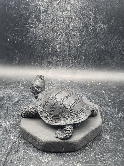Shungite turtle! 2.9 inches by 2.9 inches, 6 ounces!
