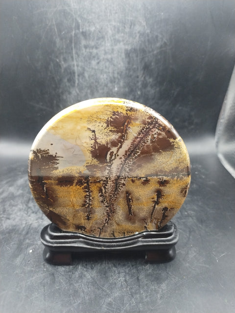 Natural Picture jasper slab with stand! 4.7 ounces,3.5 inches!