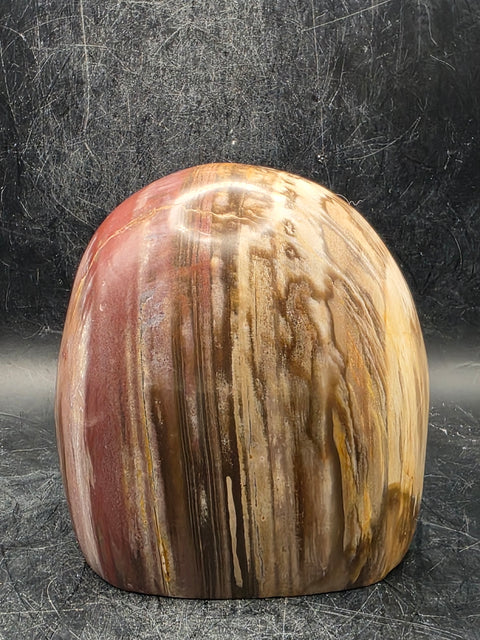 Petrified wood free form! 1.5 pounds, 3.4 inches tall, 3.1" wide