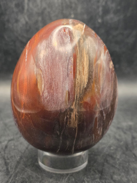 Petrified wood egg! 3.1 inches tall, 2.5 inches wide, 1 pound