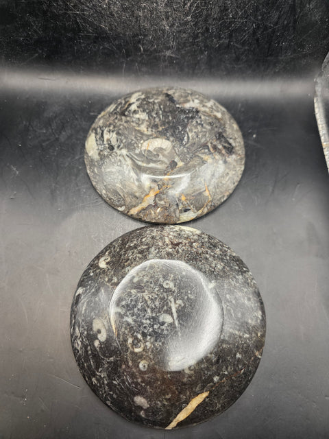 Round orthoceras ammonite fossil dish! 4.2 inches wide, 7 ounces