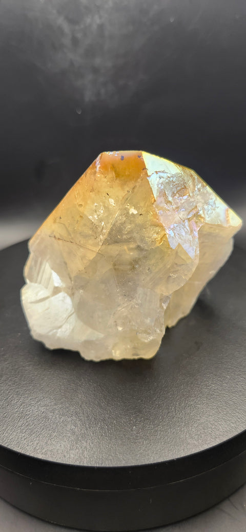 Angel aura citrine polished top point. 8.2 ounces!