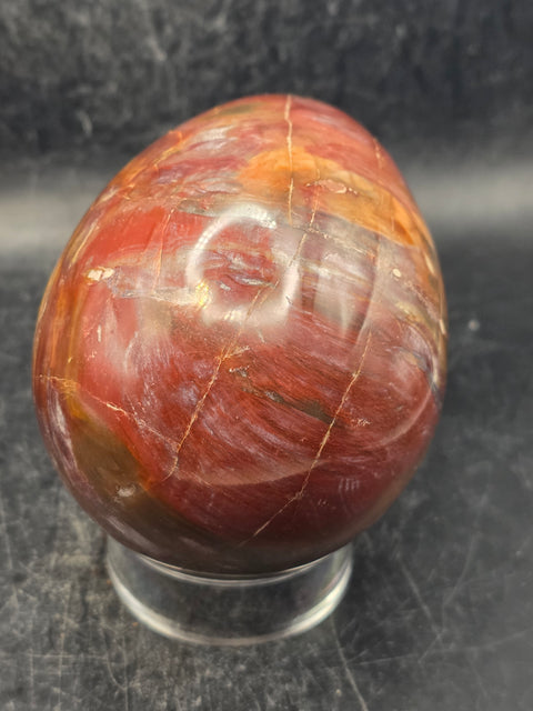 Petrified wood egg! 1.3 pounds, 3.4 inches tall, 2.6 inches wide!