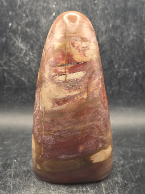 Petrified wood free form! 11.8 ounces, 4.2 inches tall, 2" wide