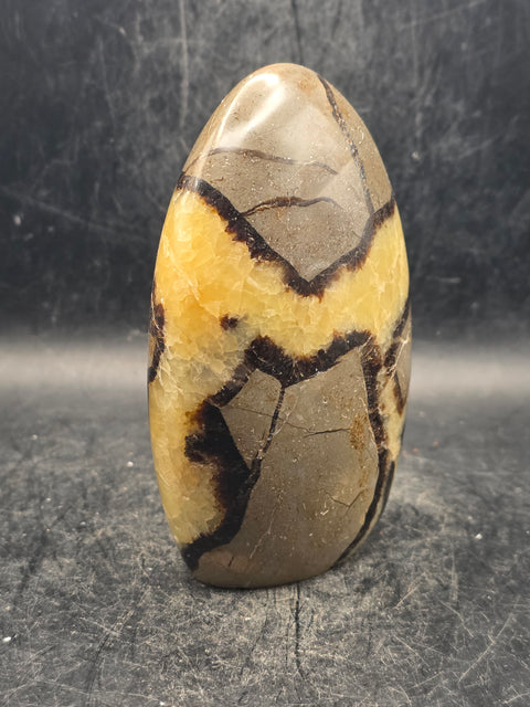 Septarian stone free form! 14 ounces, 4 inches tall, 2.6 inches wide