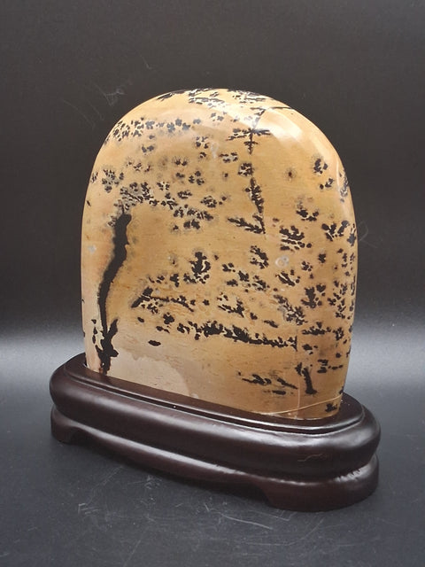 Picture jasper slab with stand! 4 by 4 inches, 1.3 pounds, 1.3" thick