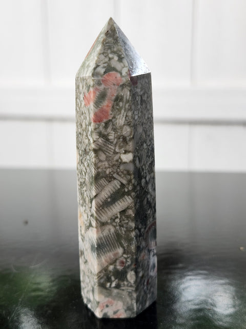 Crinoid fossil tower