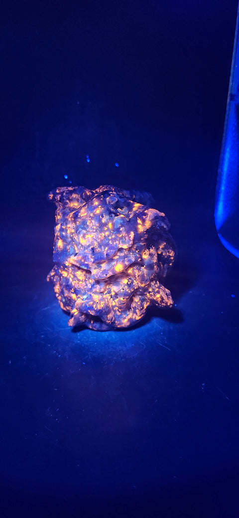 Flame stone "yooperlite" Medusa head! 15 ounces, 2.9 inches tall!