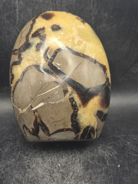 Septarian stone free form! 1.1 pounds, 4 inches tall, 3" wide