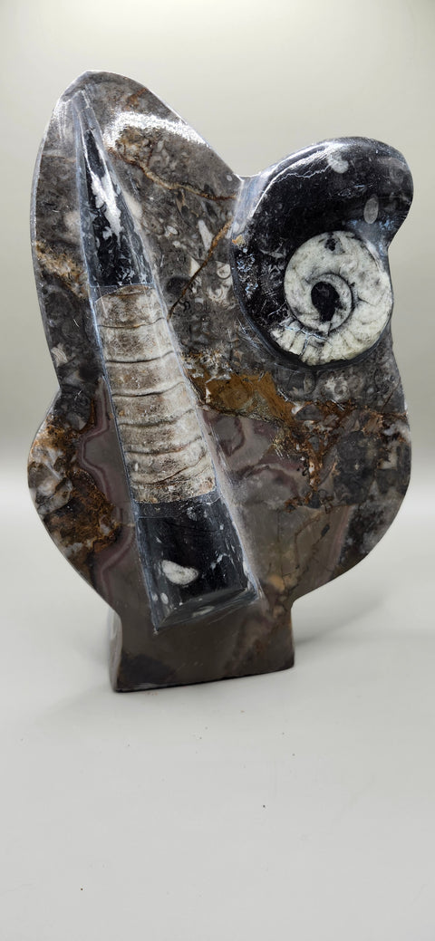 ORTHOCERAS GOINITITE AMMONITE  LIMESTONE STATUE