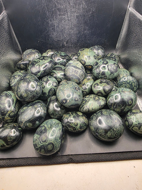 Kambaba Jasper palm stones! Set of 2! 1.6 to 2.6 inches!