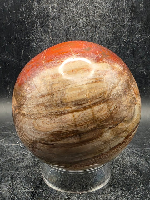 Petrified wood sphere! 79mm, 3.1 inches, 1.8 pounds!