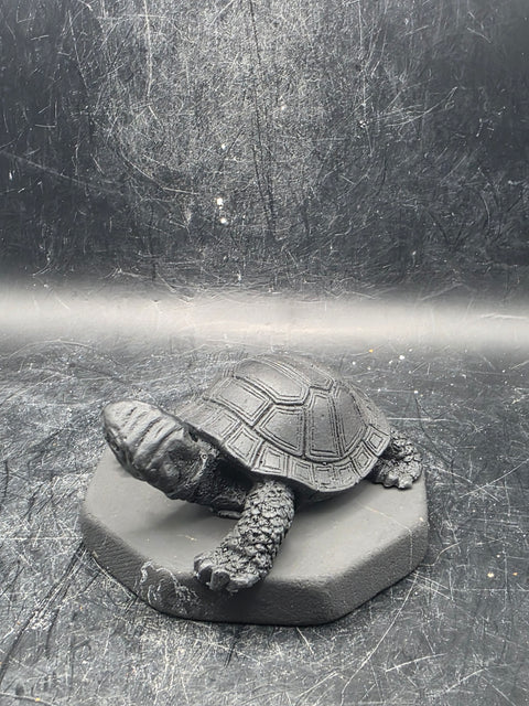 Shungite turtle! 2.9 inches by 2.9 inches, 6 ounces!