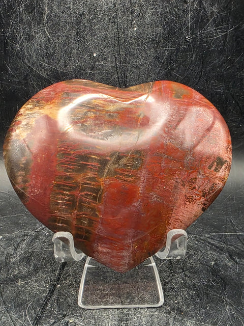 Petrified wood heart! 7.2 ounces, 3.1 inches wide by 2.7" tall
