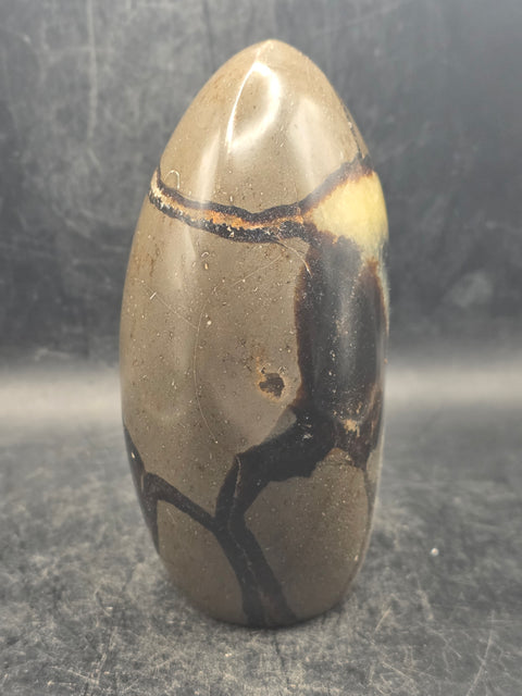 Septarian stone free form! 1.5 pounds, 4.2 inches tall, 3" wide!