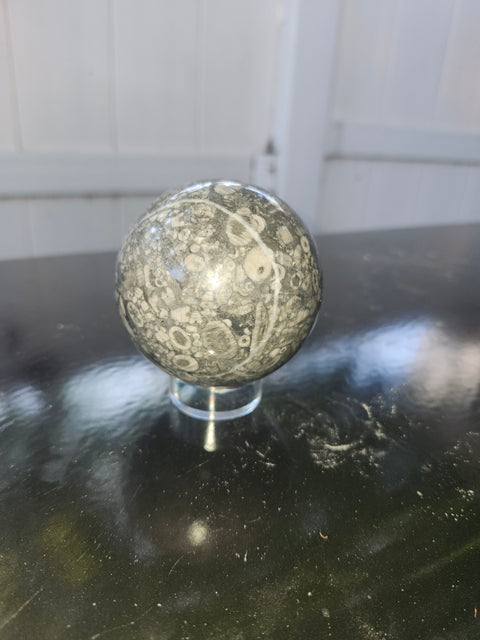 62.5mm, 2.46 inch, 12.4 ounce crinoid fossil sphere
