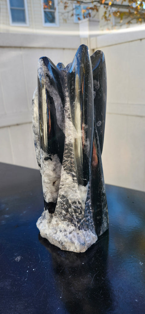 Xl 7 orthoceras limestone statue! 4.9 pounds, 8.5 inches tall 3.3" wide