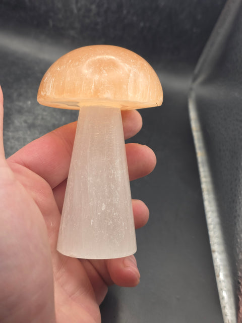 Large Peach top selenite mushroom! 3.9 inches tall