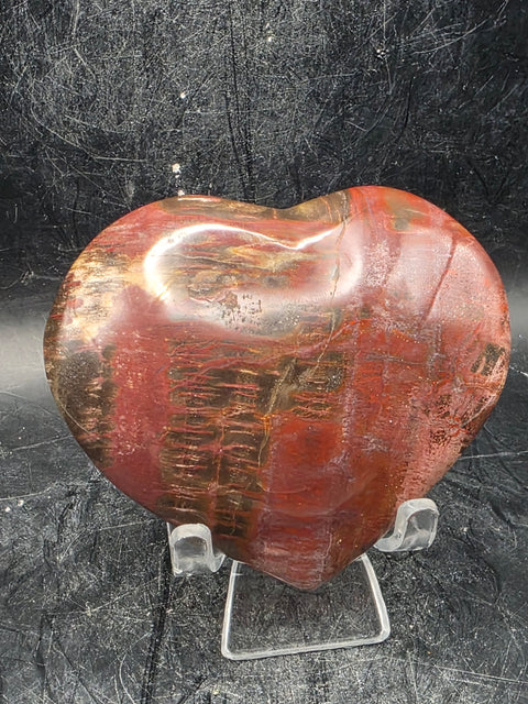 Petrified wood heart! 7.2 ounces, 3.1 inches wide by 2.7" tall