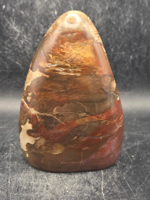 Petrified wood free form! 14.5 ounces, 3.9 inches tall, 2.7" wide