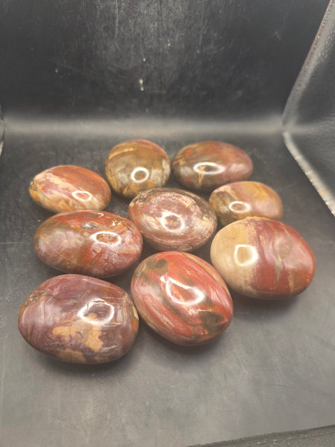 Petrified wood palm stone! 1.8 too 2.2 inches!