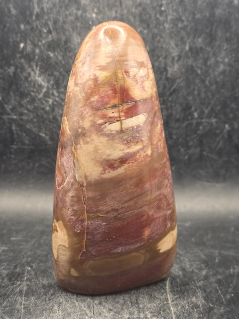 Petrified wood free form! 11.8 ounces, 4.2 inches tall, 2" wide