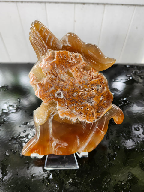 druzy agate wolf