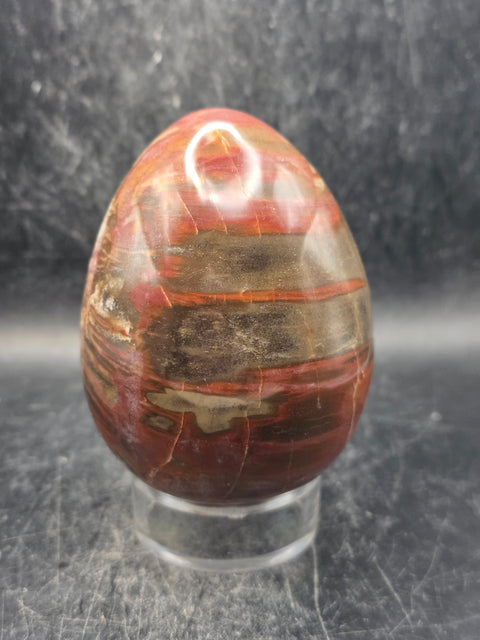 Petrified wood egg! 1.1 pounds, 3.4 inches tall, 2.5 wide