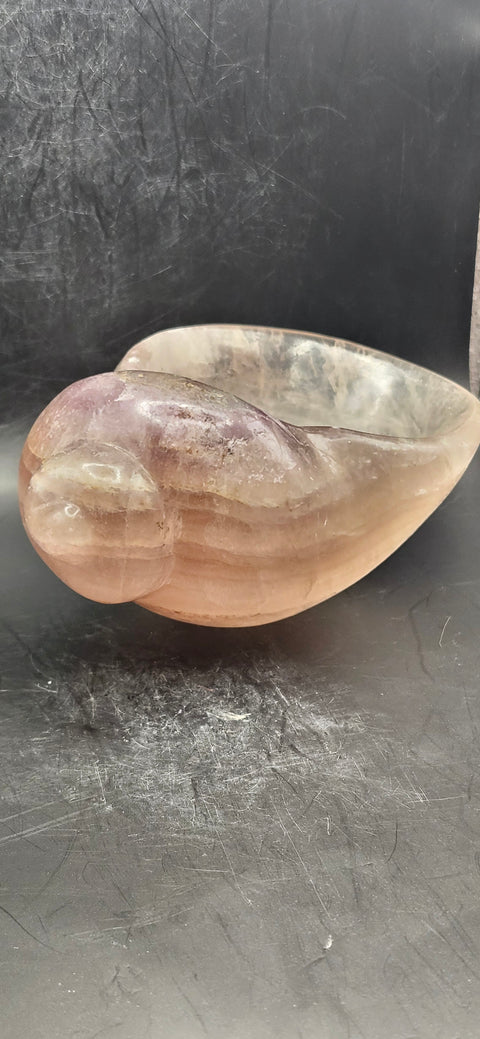 Florite conch shell offering bowl! 1.8 pounds, 5 inches by 4 inches