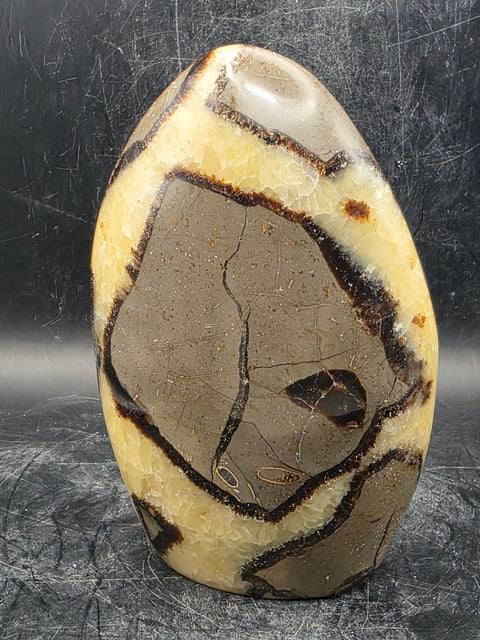 Septarian stone free form! 1.4 pounds!  4.5 inches tall, 3 inches wide