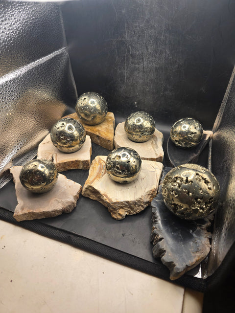 Petrified wood sphere holder! 4.2 too 5.2 inches!