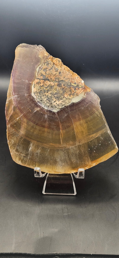 Florite slab! 11 ounces, 5.5 inches