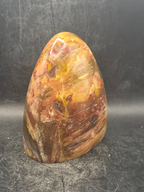 Petrified wood free form! 1.5 pounds, 3.7 inches tall, 3.3" wide!
