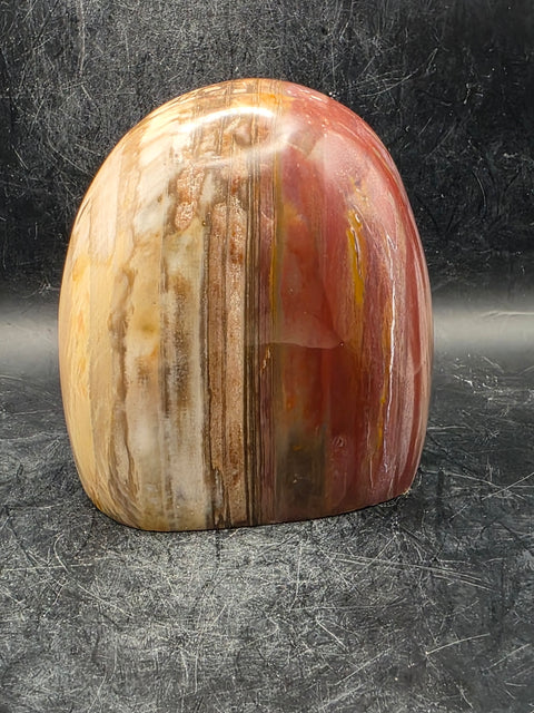 Petrified wood free form! 1.5 pounds, 3.4 inches tall, 3.1" wide