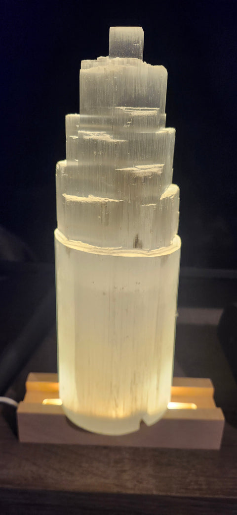 Tree of life selenite lamp! 10 inches tall, 3.5 wide, 4 pounds! With led base