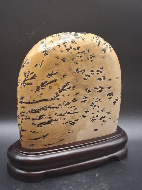 Picture jasper slab with stand! 4 by 4 inches, 1.3 pounds, 1.3" thick