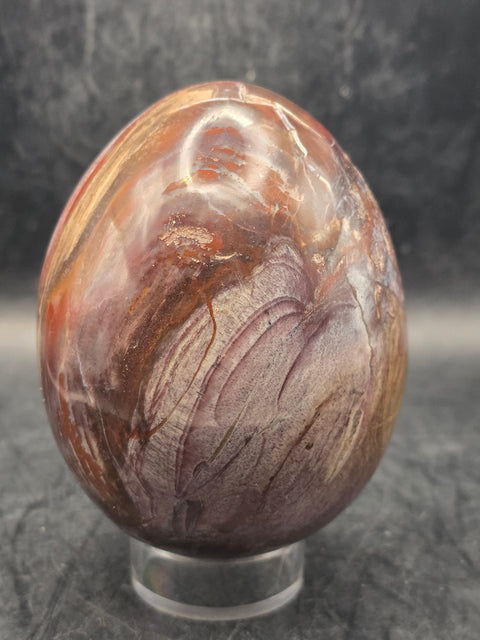 Petrified wood egg! 3.1 inches tall, 2.5 inches wide, 1 pound