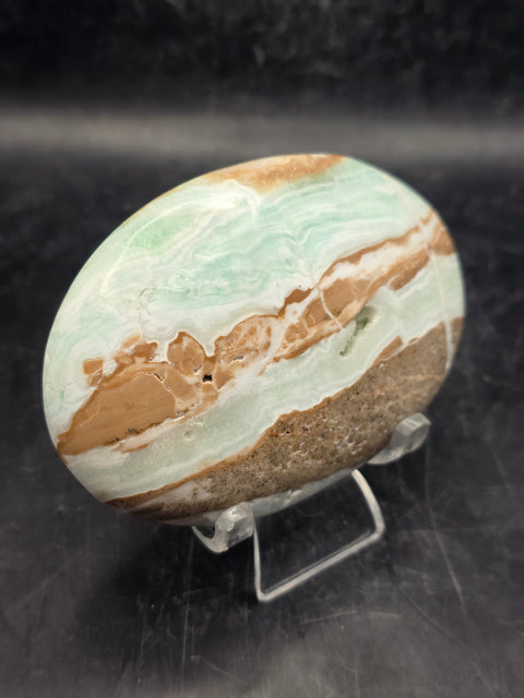 Caribbean calcite palm stone! 6.4 ounces, 3.4 inches wide