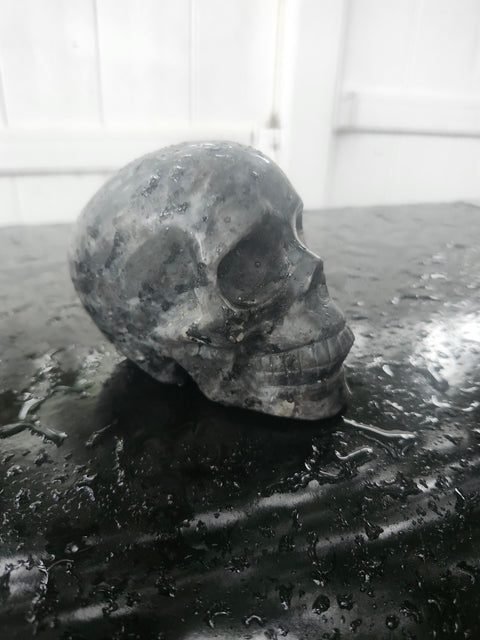 Larvikite skull! 1.3 pounds, 3.7 inches long, 2.7 tall, 2.2 wide