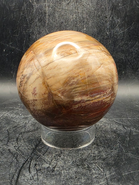 Petrified wood sphere! 79mm, 3.1 inches, 1.8 pounds!