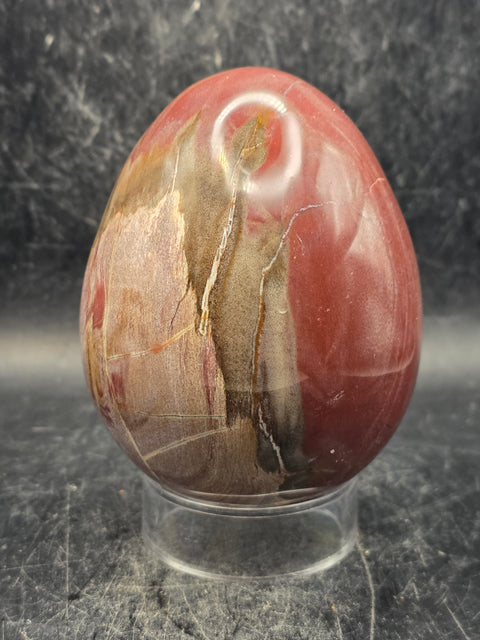 Petrified wood egg! 1.2 pounds, 3.3 inches tall, 2.6 inches wide