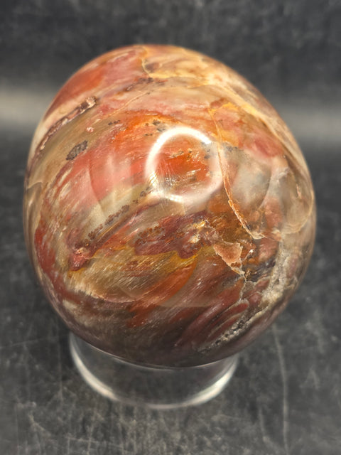 Petrified wood egg! 1.2 pounds, 3.3 inches tall, 2.6 inches wide
