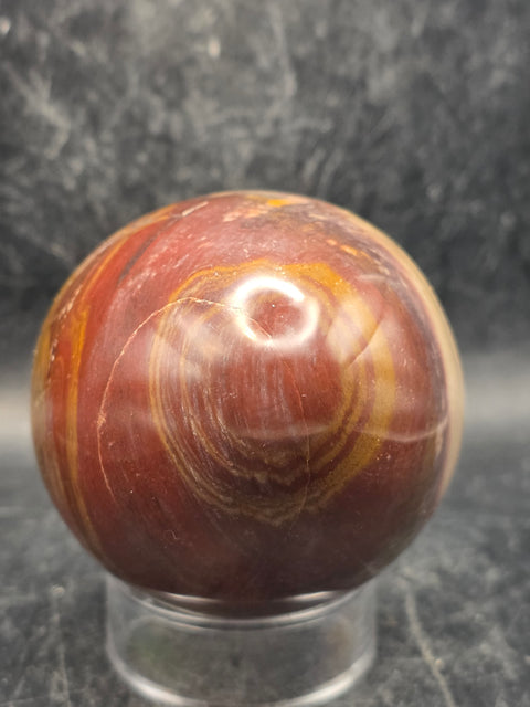Petrified wood egg! 1.2 pounds, 3.4 inches tall, 2.6 inches wide