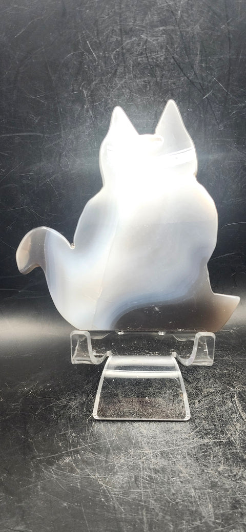 Druzy agate cat! 8 ounces, 4 inches tall, 4 inches wide