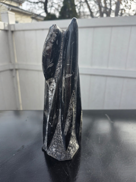 Orthoceras limestone statue! 3.5 pounds, 9 inches tall, 2.5" wide