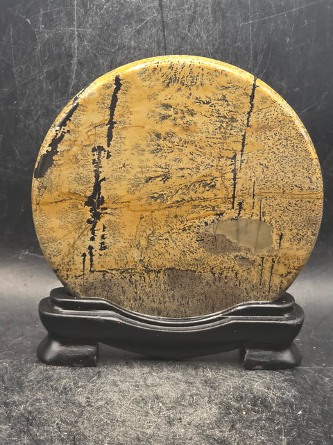 Natural picture jasper slab with stand! 4.9 ounces, 3.5 inches wide!