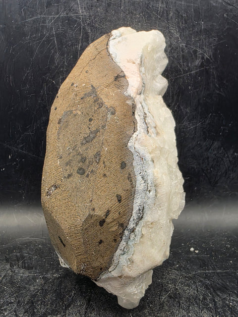 Apophyllite free form! 1.13 pounds, 5.9 inches long, 2.8" wide